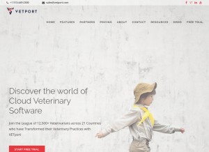 How vetport.com looks like on a tablet such as an iPad.