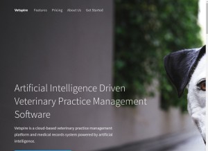 How vetspire.com looks like on a tablet such as an iPad.