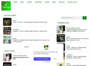 How vibe9ja.com.ng looks like on a tablet such as an iPad.