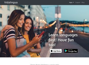 How vidalingua.com looks like on a tablet such as an iPad.