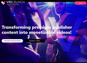 How vidcrunch.com looks like on a tablet such as an iPad.