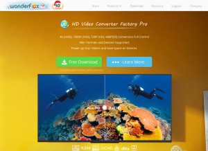 How videoconverterfactory.com looks like on a tablet such as an iPad.