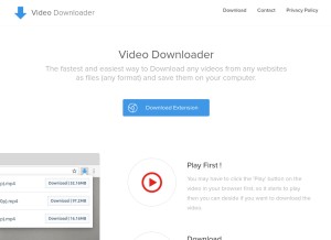 How videodownloader.io looks like on a tablet such as an iPad.
