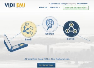 How vidiemi.com looks like on a tablet such as an iPad.