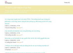 How vietmin.com looks like on a tablet such as an iPad.