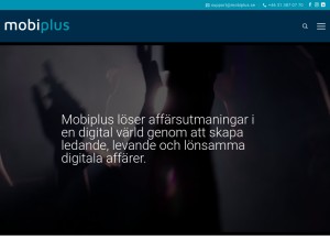 How vikab.com looks like on a tablet such as an iPad.