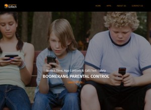 How vionika.com looks like on a tablet such as an iPad.