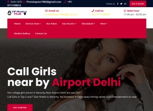 How vipmodelshub.com looks like on a tablet such as an iPad.