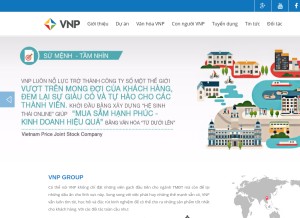 How vnpgroup.net looks like on a tablet such as an iPad.