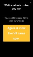 How vrcams.io looks like on a mobile device such as an iPhone.
