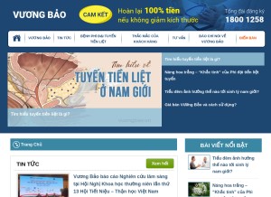 How vuongbao.vn looks like on a tablet such as an iPad.
