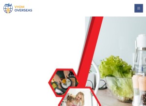 How vyomoverseas.com looks like on a tablet such as an iPad.