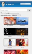 How w-dog.ru looks like on a mobile device such as an iPhone.