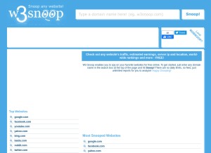 How w3snoop.com looks like on a tablet such as an iPad.