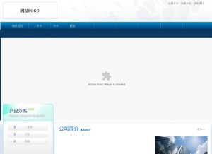 How waetna.com looks like on a tablet such as an iPad.
