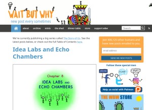 How waitbutwhy.com looks like on a tablet such as an iPad.