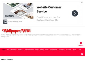 How wallpaper.wiki looks like on a tablet such as an iPad.