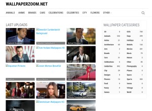 How wallpaperzoom.net looks like on a tablet such as an iPad.