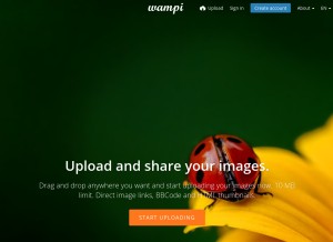 How wampi.ru looks like on a tablet such as an iPad.
