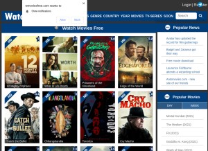 How watchmoviesfree.us looks like on a tablet such as an iPad.