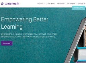 How watermarkinsights.com looks like on a tablet such as an iPad.