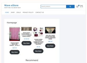 How waveestore.com looks like on a tablet such as an iPad.