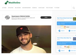 How wealtholino.com looks like on a tablet such as an iPad.