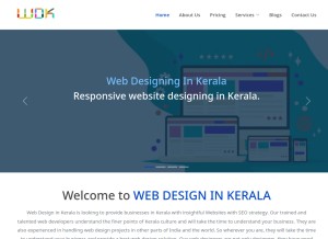 How webdesigninkerala.in looks like on a tablet such as an iPad.