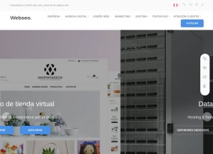 How webseo.pe looks like on a tablet such as an iPad.