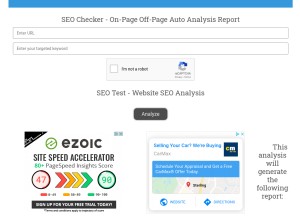 How websiteseochecker.com looks like on a tablet such as an iPad.