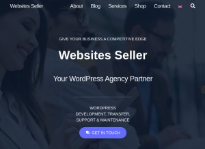 How websitesseller.com looks like on a tablet such as an iPad.