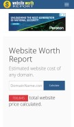 How websiteworthreport.com looks like on a mobile device such as an iPhone.