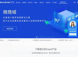 How weimob.com looks like on a tablet such as an iPad.