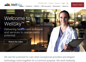 How wellsky.com looks like on a tablet such as an iPad.