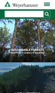How weyerhaeuser.com looks like on a mobile device such as an iPhone.