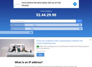 How whatismyip.li looks like on a tablet such as an iPad.