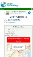 How whatismyipaddress.com looks like on a mobile device such as an iPhone.