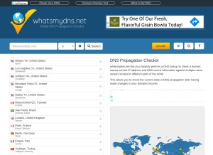 How whatsmydns.net looks like on a tablet such as an iPad.