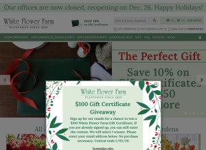 How whiteflowerfarm.com looks like on a tablet such as an iPad.