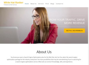 How whitehatranker.com looks like on a tablet such as an iPad.