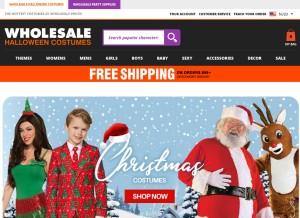 How wholesalehalloweencostumes.com looks like on a tablet such as an iPad.
