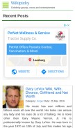 How wikipicky.com looks like on a mobile device such as an iPhone.