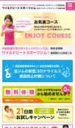 How wildbeat.jp looks like on a mobile device such as an iPhone.