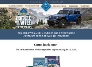 How wildsweeps.com looks like on a tablet such as an iPad.