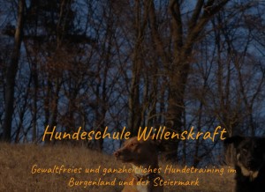 How willenskraft.co.at looks like on a tablet such as an iPad.