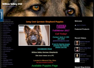 How willowvalleygsd.com looks like on a tablet such as an iPad.