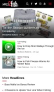 How wired2fish.com looks like on a mobile device such as an iPhone.