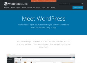 How wordpress.org looks like on a tablet such as an iPad.