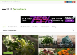 How worldofsucculents.com looks like on a tablet such as an iPad.