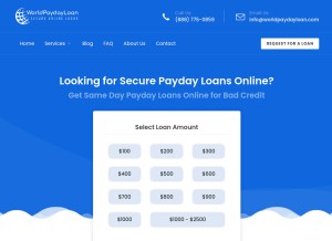 How worldpaydayloan.com looks like on a tablet such as an iPad.